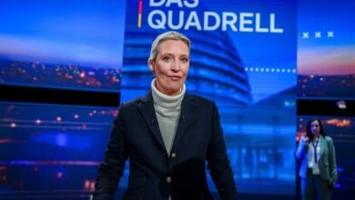 alice weidel ohrprothese